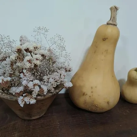 New Honey House, Serra Do Marao Ansiaes-amarante Ferienhaus