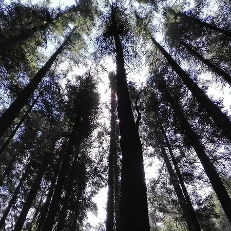 Dom wakacyjny New Honey House, Serra Do Marao Ansiaes-amarante Amarante