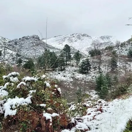 Holiday home New Honey House, Serra Do Marao Ansiaes-amarante *