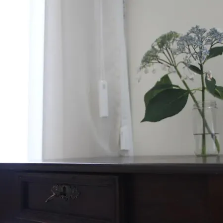 New Honey House, Serra Do Marao Ansiaes-amarante * Amarante