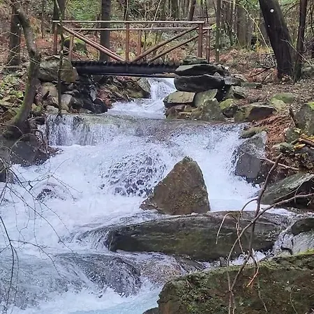 New Honey House, Serra Do Marao Ansiaes-amarante Dom wakacyjny Amarante