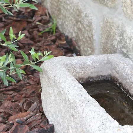 Dom wakacyjny New Honey House, Serra Do Marao Ansiaes-amarante Amarante