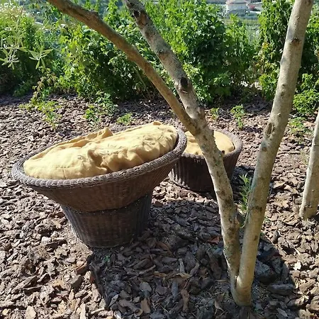 Σπίτι διακοπών New Honey House, Serra Do Marao Ansiaes-amarante Amarante