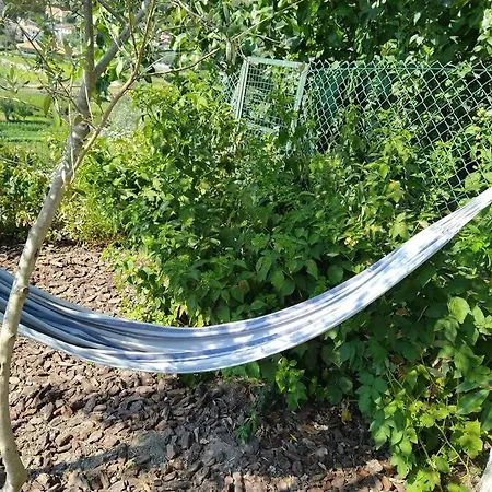 New Honey House, Serra Do Marao Ansiaes-amarante Holiday home *