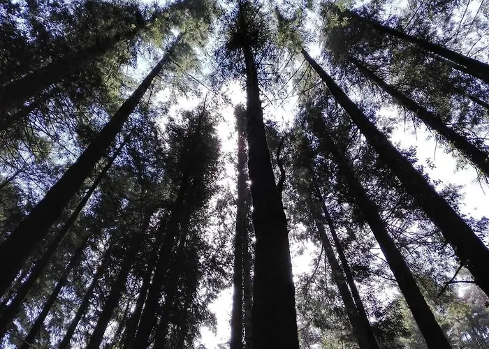 بيت للعطل New Honey House, Serra Do Marao Ansiaes-amarante أمارانتي