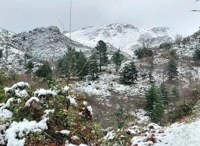 بيت للعطل New Honey House, Serra Do Marao Ansiaes-amarante *