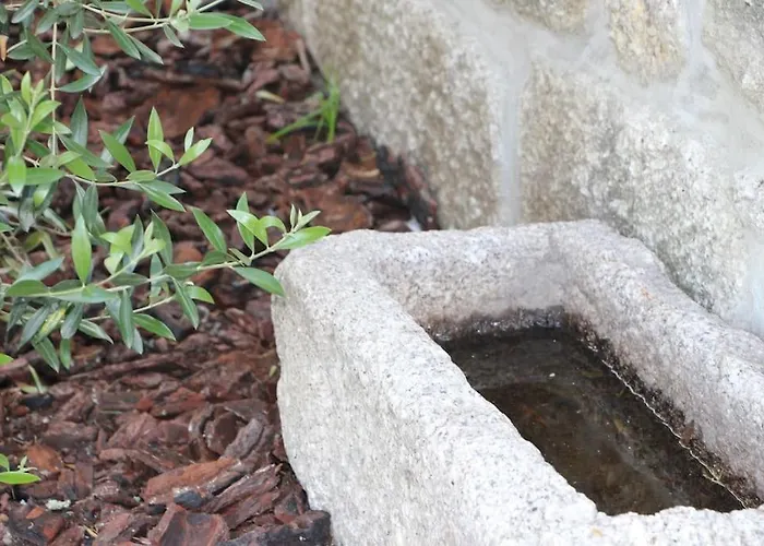 Vakantiehuis New Honey House, Serra Do Marao Ansiaes-amarante Amarante